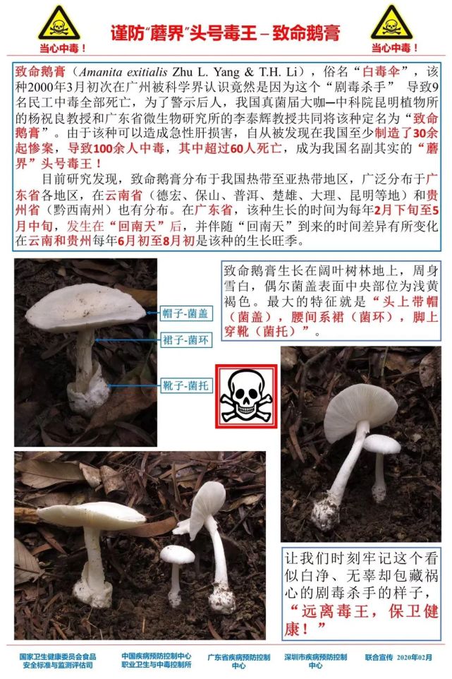 陜西最新感染,陜西最新感染，挑戰(zhàn)與應(yīng)對策略
