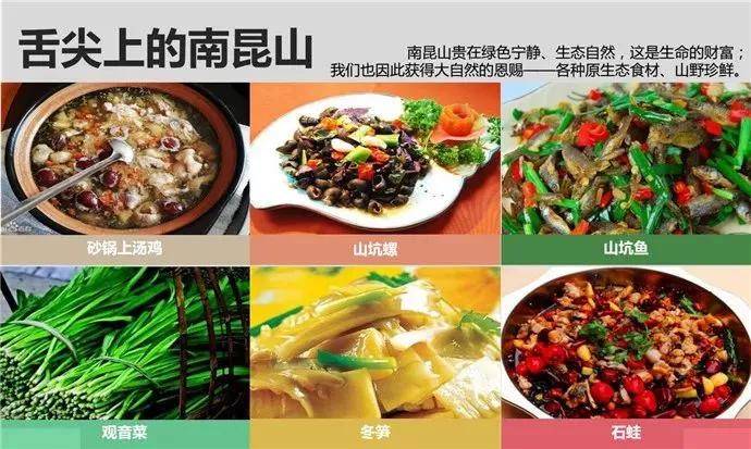嘉善最新餐飲,嘉善最新餐飲，美食新潮與地方文化的融合
