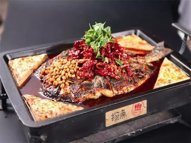最新烤魚(yú)歌,最新烤魚(yú)歌，美食與音樂(lè)的完美結(jié)合