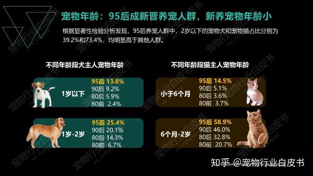 寵物之道最新,寵物之道最新趨勢(shì)與深度洞察